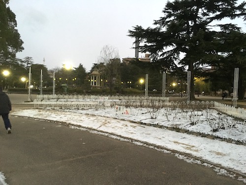 鶴舞公園雪景色